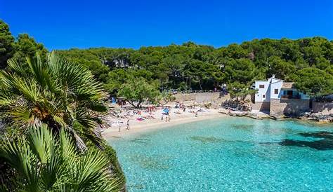 Mallorca erwartet Rekord-Saison | Touristiklounge