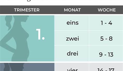 Demokratie-Stiftung Campact · Gesetzliche Erbfolge