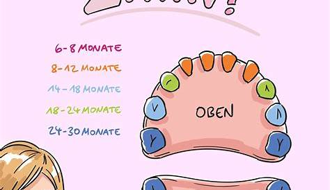 36 HQ Images Wann Kommen Die Zähne Bei Kindern - Den Zahnwechsel beim