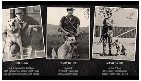 Pin by Jason Whitton on The Nam | Vietnam war, Military working dogs
