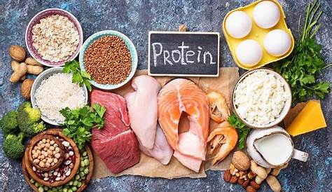 Proteine und ihre Funktionen - Besser Gesund Leben