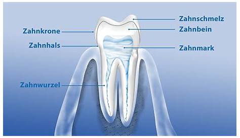 Karies-Behandlung: Zahnfäule entfernen ganz ohne Bohren - WELT
