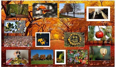 Der Herbst ist da! Foto & Bild | natur, herbst, pflanzen Bilder auf
