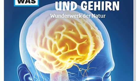 Wie funktioniert das Gehirn? | Gesundheitsinformation.de