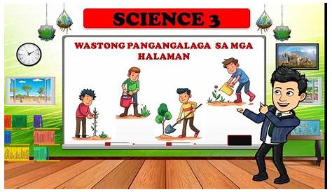 SCIENCE GRADE 3:Wastong Pangangalaga ng Halaman - YouTube