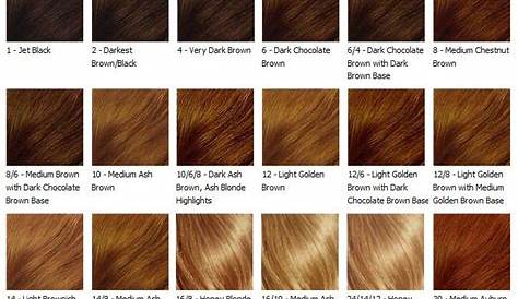 Ways To Describe Medium Brown Hair 23 Best Colors For Every Skin