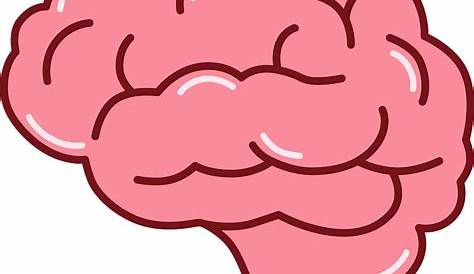 Brain Cartoon Png : Find here the best brain icons, infographics