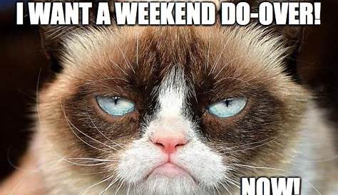 The weekend is over | Ecards funny, Funny pictures, Mind over matter