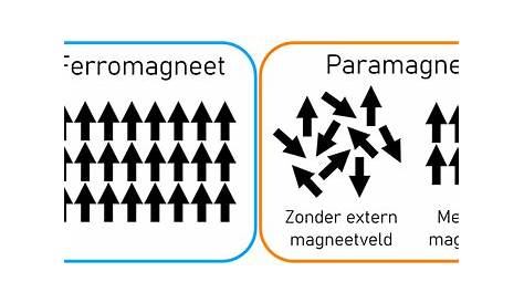 Welke metalen zijn magnetisch? - Magneetvissen met een Magnetar vismagneet
