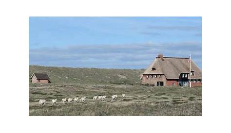 Sylt: Urlaubstipps für die beliebteste deutsche Insel | Herbstlust.de