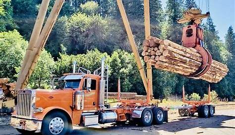 Log Harvesting West Coast Log & Timber