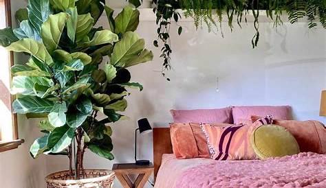 What Are The Best Indoor Plants For A Bedroom