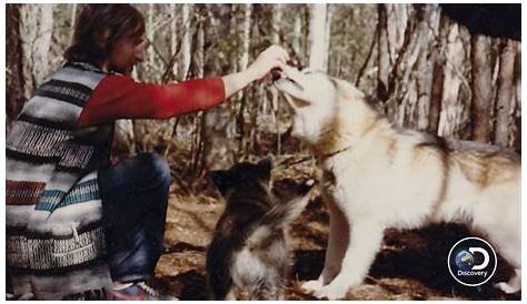 Unveiling The Fate Of Bob Harte's Cabin: A Journey Of Discovery