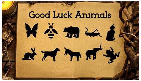 Discover The Enigmatic World Of Good Luck Animals