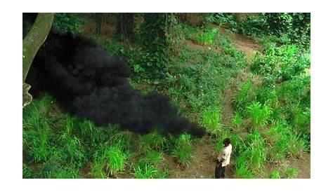 Black smoke. stock image. Image of furious, inferno, tree - 24097671