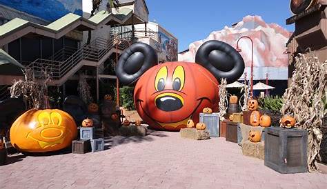 When Does Disney Springs Decorate For Halloween?