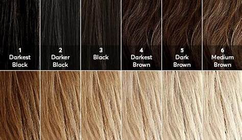 Where To Color My Hair Basic Types And Techniques Of ing LeoSystem