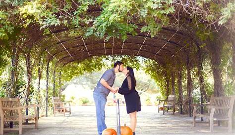 12 Places To Take Engagement Photos Near Chattanooga Our Ampersand