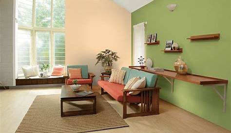 Which Is Best Paint In Asian Paints Color Combation For Livg Room