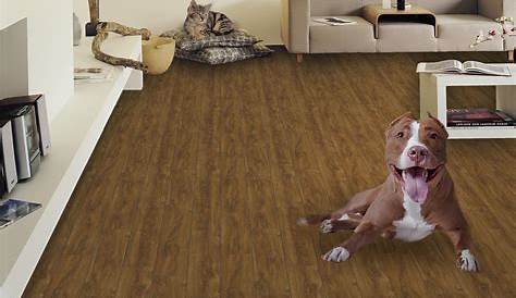 Is Laminate Flooring Good For Pets / The Best Dog Friendly Flooring For