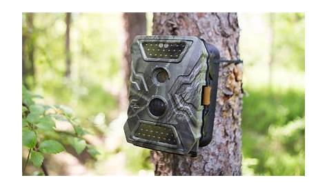 Which Wildlife Camera Is Best