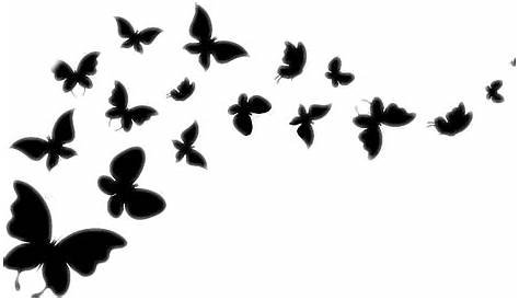 Butterfly Clipart Black And White Png : Free Simple Butterfly Black And