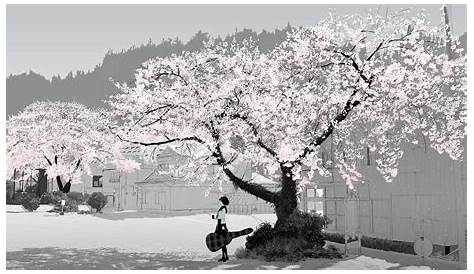 Lutum` | Anime cherry blossom, Black and white gif, Aesthetic anime