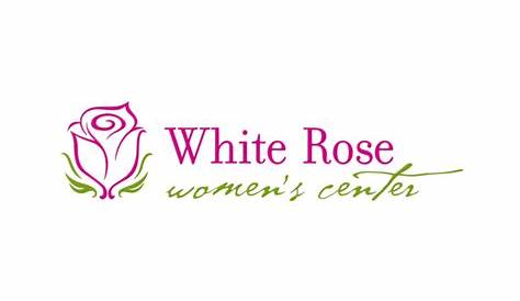 White Rose on Behance