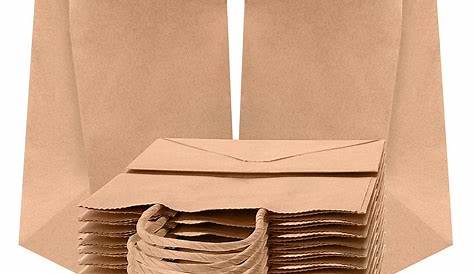Brown Kraft Paper Gift Bags Bulk with Handles (100 Bags) 6.25x3.5x8