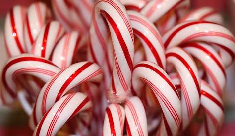 Why Candy Canes At Christmas