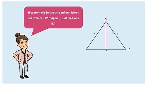 Aufgaben zur Flächenberechnung am Dreieck – lernen mit Serlo!