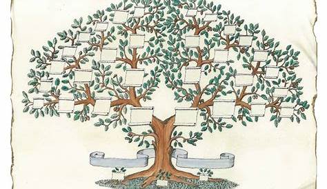 So erstellen Sie einen Stammbaum | Lucidchart Blog