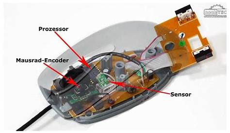 Wie funktioniert eine PC-Maus?