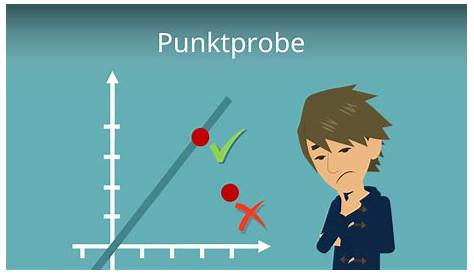 lineare Funktion und Punktprobe? (Schule, Mathematik, Rechnung)