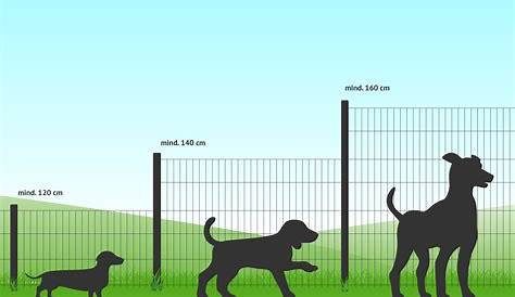 Wie hoch darf ein Zaun zum Nachbarn sein?