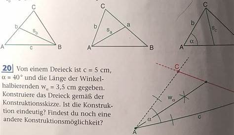 Trigonometrie am rechtwinkligen Dreieck 1a Technikermathe.de