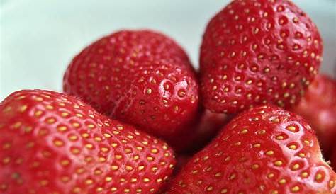 Kostenloses Foto zum Thema: erdbeeren, frisch aufgesteckt erdbeeren