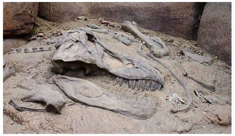 Wie wurden Dinosaurier so groß? Wissenschaftler haben jetzt die Antwort