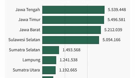 10 Penghasil Padi Terbesar di Indonesia | Indonesia Baik