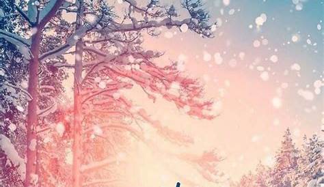 Winter Aesthetic Wallpaper For Iphone