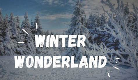 Winter Wonderland Captions Instagram