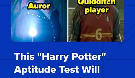 Wizarding World Job Quiz Harry Potter What Would Be Your At Hogwarts?