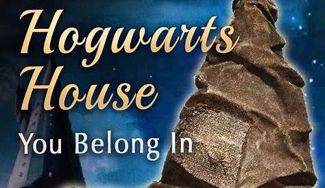 Can You Retake the Wizarding World House Sorting Quiz? Answered