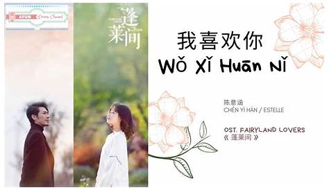 Wo Xi Huan Ni : Wo Duo Xi Huan Ni, Ni Hui Zhi Dao - Wang Qun Ji (我多喜歡你