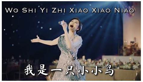 Della Ding - Wo Shi Yi Zhi Xiao Xiao Niao lyrics | Hot Sexy Beauty
