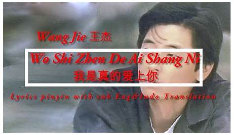 Wo shi Zhen De Ai Shang Ni (Cover By AuMax) - YouTube