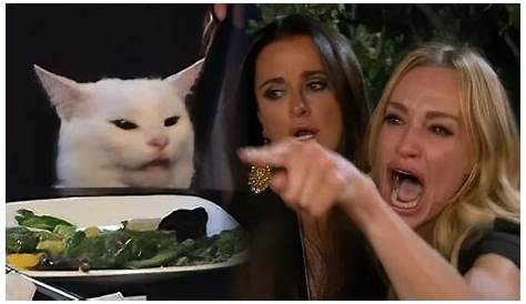Angry Woman Vs Cat Meme