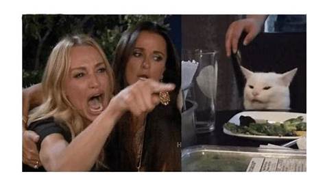 Women Yelling at cat reversed Blank Template - Imgflip