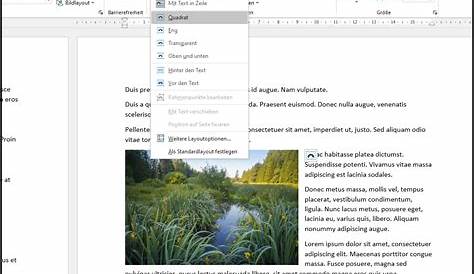 Word Textfeld einfügen - Windows FAQ