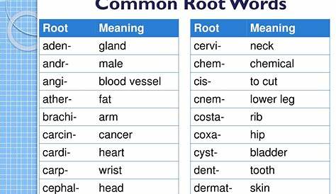 Root Word Definition Medical Terminology - DEFINITION GHW